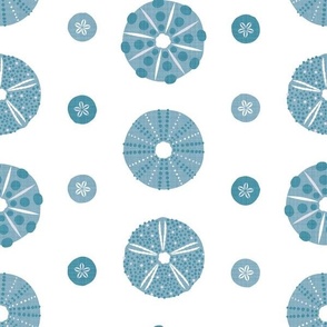 sea urchins and sand dollars (blue) (small)
