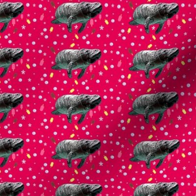 Manatees, popsicles, & bubbles in pink - fun sea cow pattern