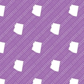 Arizona State Shape Pattern Purple and White Stripes