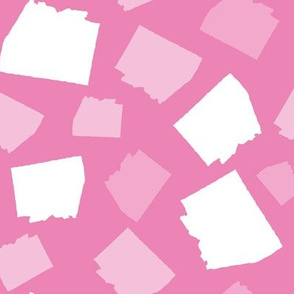 Arizona State Shape Pattern Pink and White