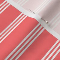 Adventure Stripes Coral