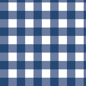 Navy Gingham