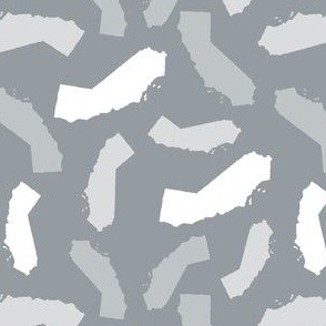 California State Shape Grey and White
