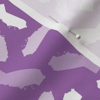 California State Shape Purple and White