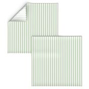 Light Green & White Pinstripe