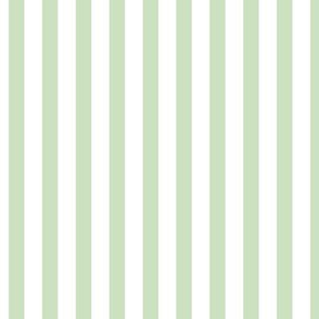 Light Green & White Pinstripe