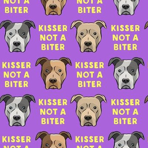 Kisser not a biter - yellow and purple - Pit bull - LAD19