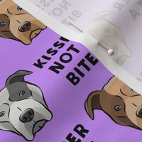 Kisser not a biter - black and purple - Pit bull - LAD19