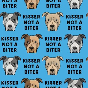 Kisser not a biter - blue - Pit bull - LAD19