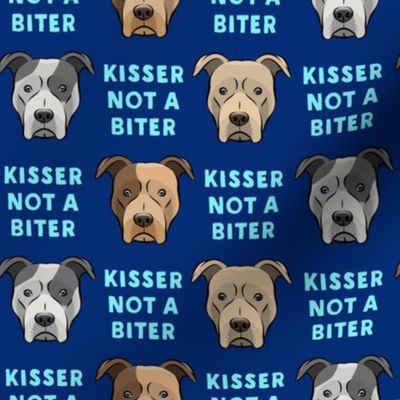 Kisser not a biter - blue on blue  - Pit bull - LAD19