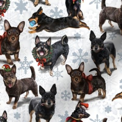 Lancashire Heeler Christmas Pattern