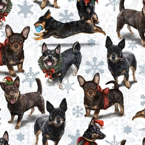 Lancashire Heeler Christmas Pattern