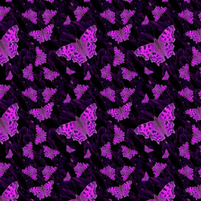 Moth purple on black 