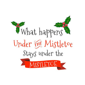 18"x18" - 6 to 1 yard of Minky What Happens Under the Mistletoe Quote