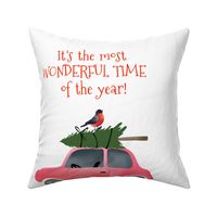 18"x18" - 6 to 1 yard of Minky It's the most Wonderful Time Quote