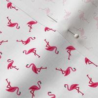 FS Flamingos Everywhere