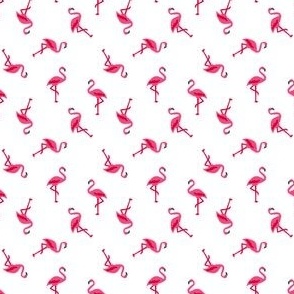FS Flamingos Everywhere