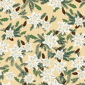 White Poinsettia and Pine Cones - cream background