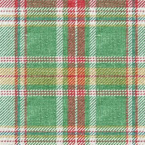 Green Distressed Plaid