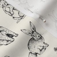 Sketch Bunnies // Cream - Easter, Spring Carrots