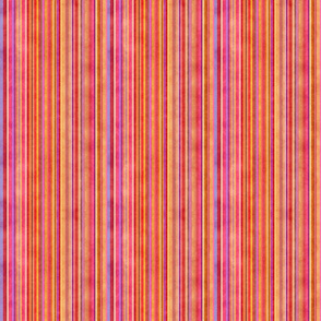 Stonewashed Multicolored stripe, autumn