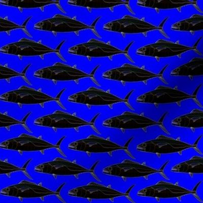 Dogtooth Tuna in black on blue