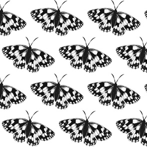 Spotted Butterflies lg