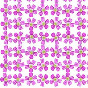 Hawaiian Floral Pink Flowers Stripes