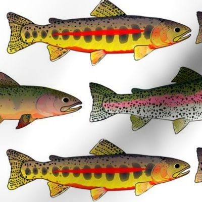 3 west slope trout