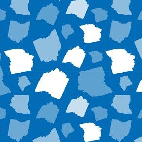 Ohio State Shape Blue and White