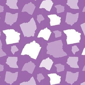 Ohio State Shape Purple and White