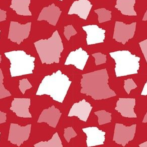 Ohio State Shape Red and White