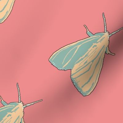 Little Moth Spring Pop
