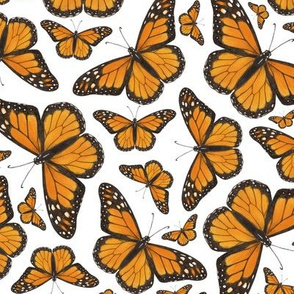 Monarch Butterflies scattered on white - medium-large scale