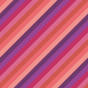 Wild Diagonal Stripe in Plum Cherry and Coral Pinks