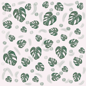 Monstera leafs