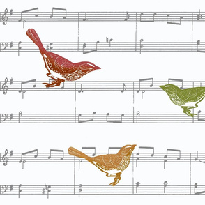 Songbirds - fall