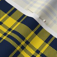 Plaid- navy and yellow - C19BS