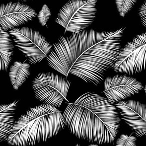 Palm leaves 