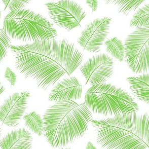Palm leaves 