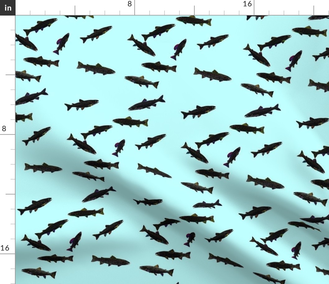 trout scatter shadows on light blue