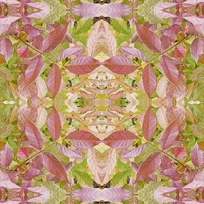 pastel leaves kaleidoscope