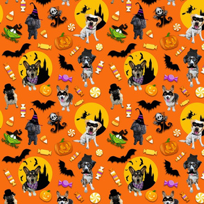 Halloween Dogs_Orange Large