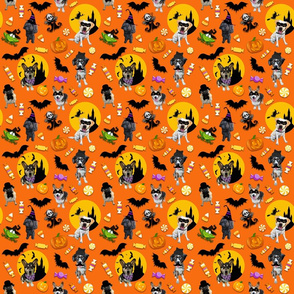 Halloween Dogs_Orange Small