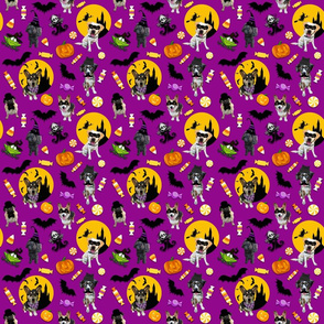 Halloween Dogs_Purple Small