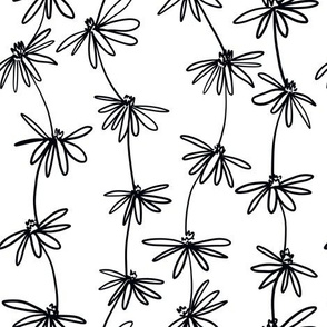 Daisy chain black and white daisies