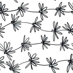 Rotated // Daisy chain black and white daisies spring