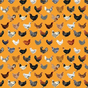 TINY - chicken breeds fabric - chicken fabric, farm fabric, farmhouse fabric, bird, birds fabric, -  orange