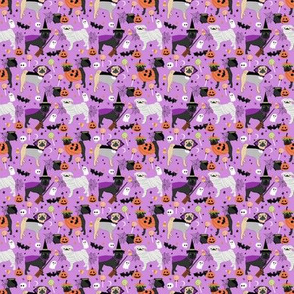 TINY - pug halloween dog fabric - black pug fabric, fawn pug fabric, halloween costume dogs, halloween pugs - purple