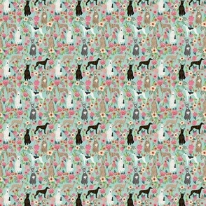 TINY - whippet florals mixed coats dog breed fabric mint